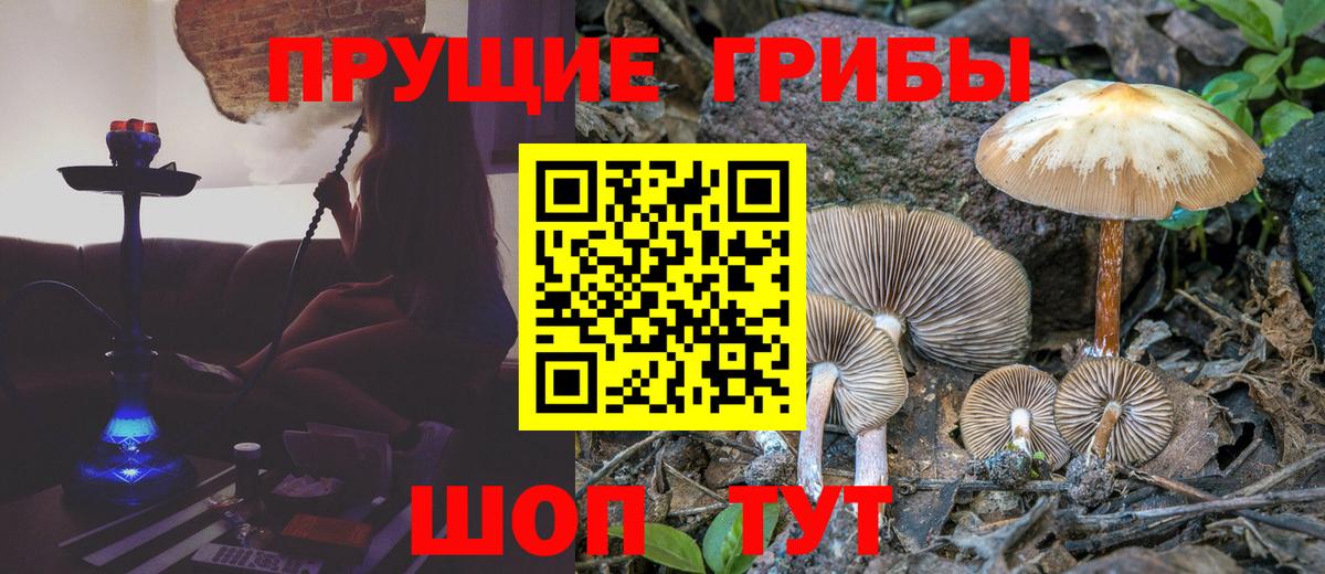 Ялта  Псилоцибиновые грибы мицелий  Вход с VPN 