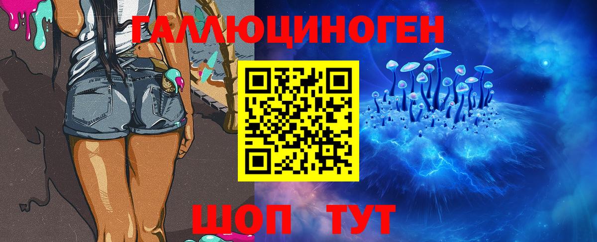 Галлюциногенные грибы Psilocybe Ялта